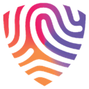Logo BigID