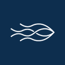 Logo mureo Agency