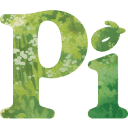 Logo Pi