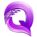 Logo Quorlyx Pro