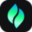Logo Verdent AI
