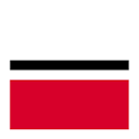 Logo Visible Alpha